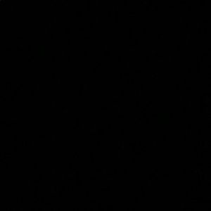 Meet your Posher, Joel